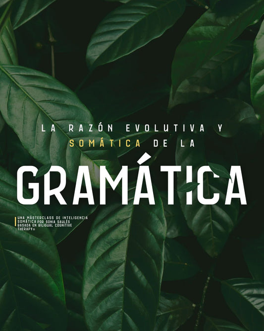 Masterclass La Razón Evolutiva y Somática de la Gramática