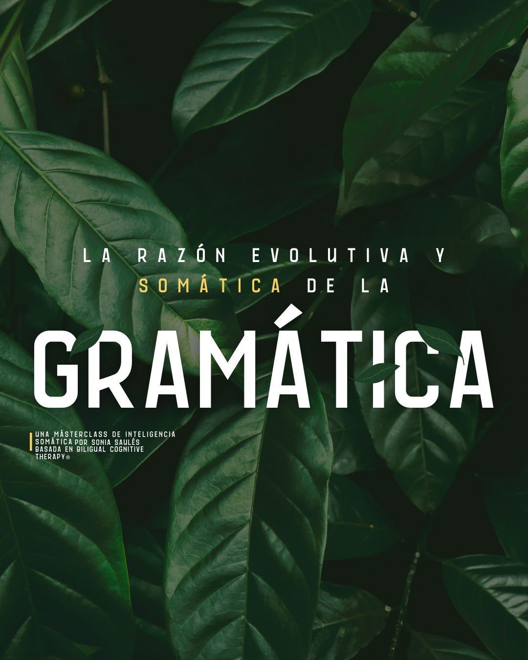 MasterClass La Razón Evolutiva y somática de la Gramática